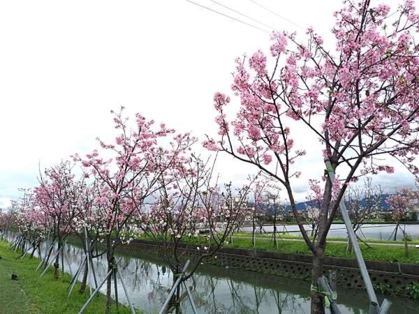 尚閤屋包棟民宿 五結郷 エクステリア 写真
